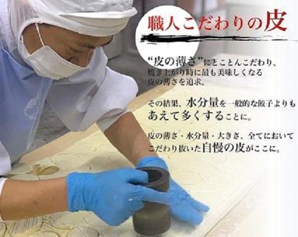 博多ひとくち餃子100個入