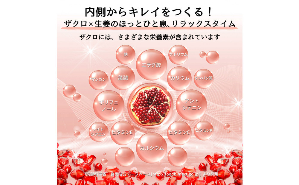 【全3回】魅惑ザクロ GINGER Boost(福岡市返礼品)【3袋入り】