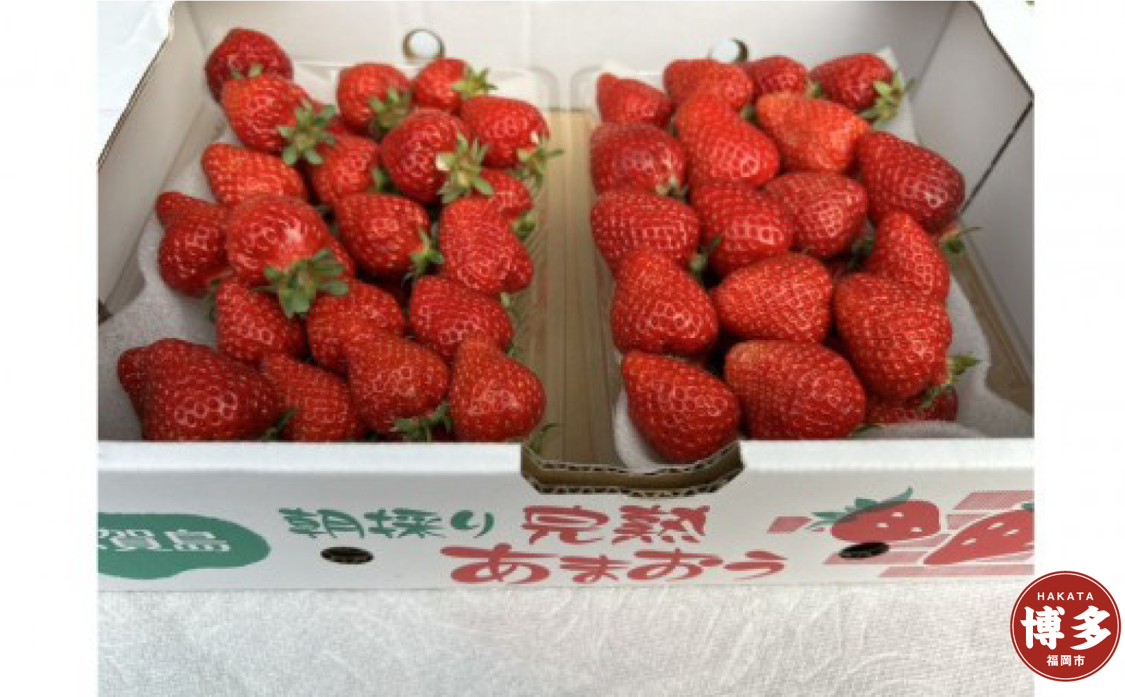 朝どり完熟あまおう盛り合わせ1000ｇ　福岡市志賀島産　