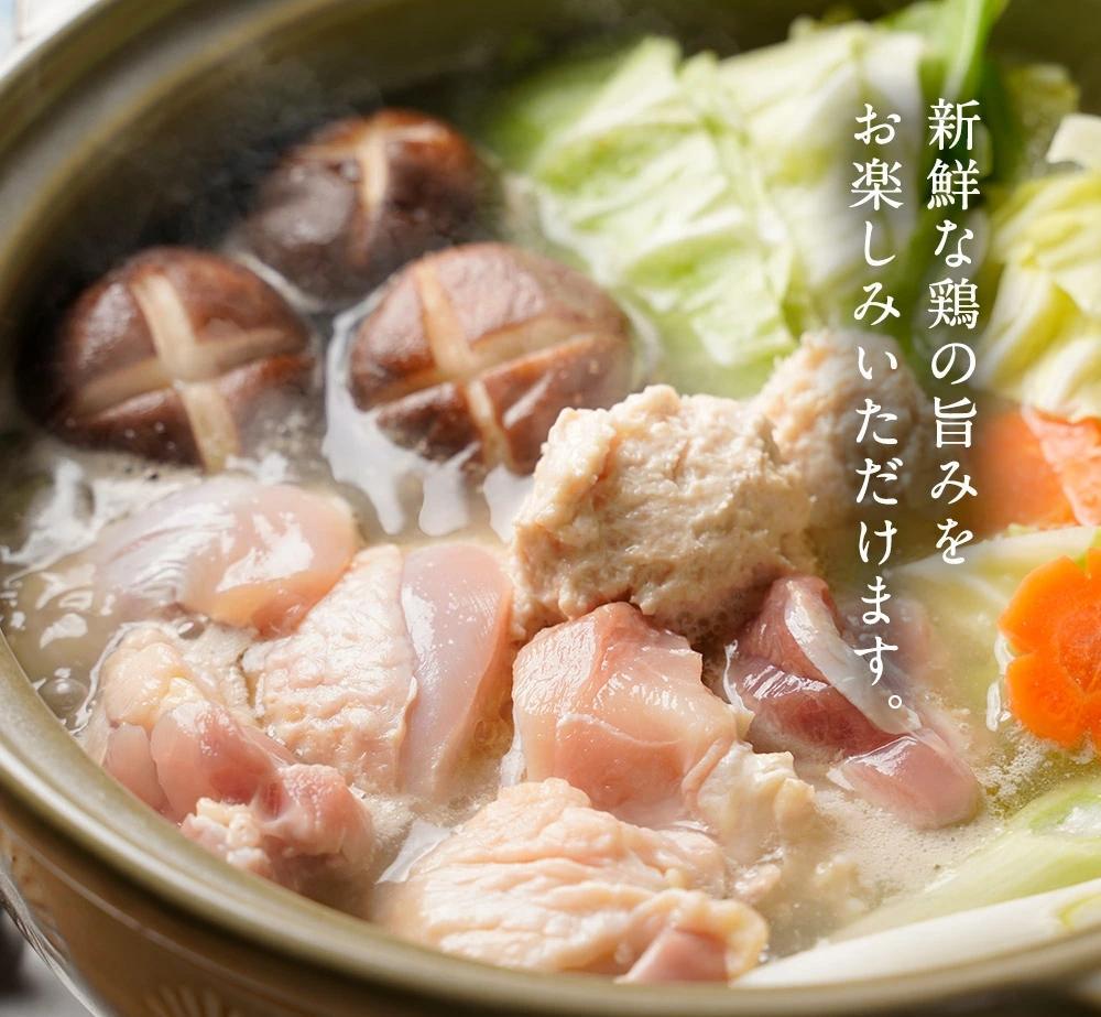 ã¯ããå°ã©ãæ°Žçãã»ããã3ïœ4人åã