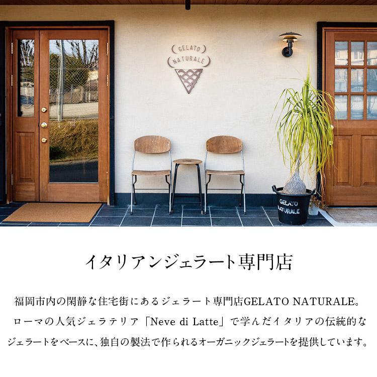 本場イタリア仕込みの本格ティラミス　アイスケーキ（セミフレッド）グルテンフリー　120ｍｌ×5個【福岡市】