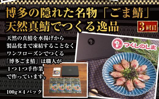 博多居酒屋3回定期便　とりかわ・餃子・ごま鯖