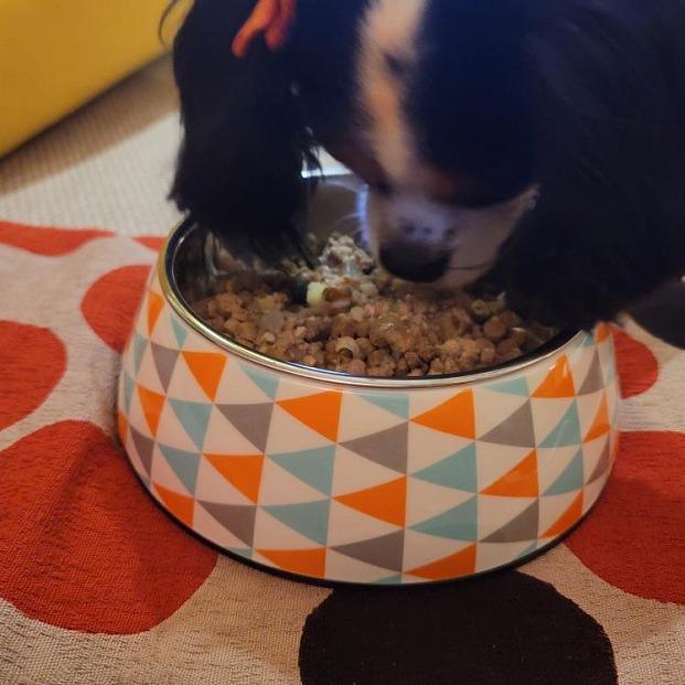 ãçŠå²¡åžããã³ãããŒã¢ïŒãèããŒã¹1è¢170gïŒ5è¢ïŒç¬çšïŒ