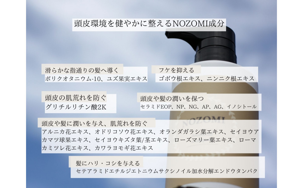 【福岡市内製造】NOZOMIボタニカルシャンプー　400ml