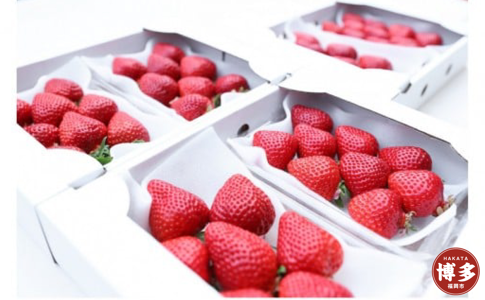 朝どり完熟あまおう6P　福岡市志賀島産