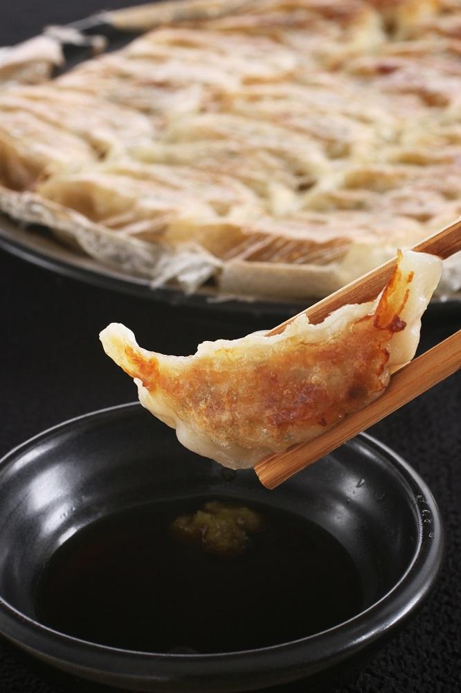 博多ひとくち餃子100個入