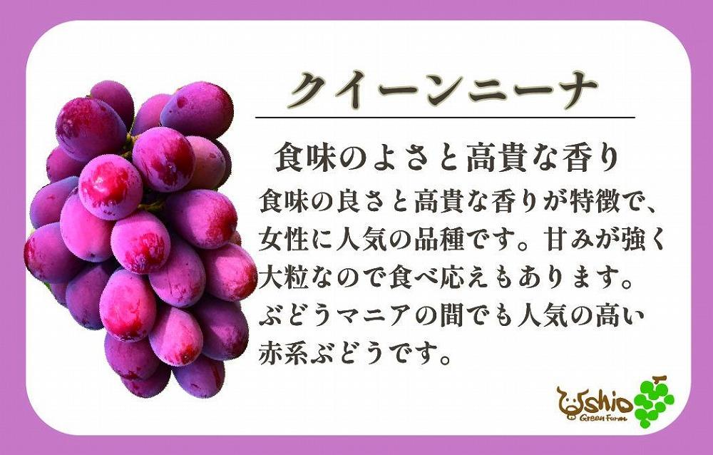 ã2026幎8æä»¥éé æ¬¡çºéãçŠå²¡åžç£ã¶ã©ã3è²ã»ãã1300gïŒèš3æ¿ïŒãåæµ·éã»æ²çžã»é¢å³¶çºéäžå¯ã