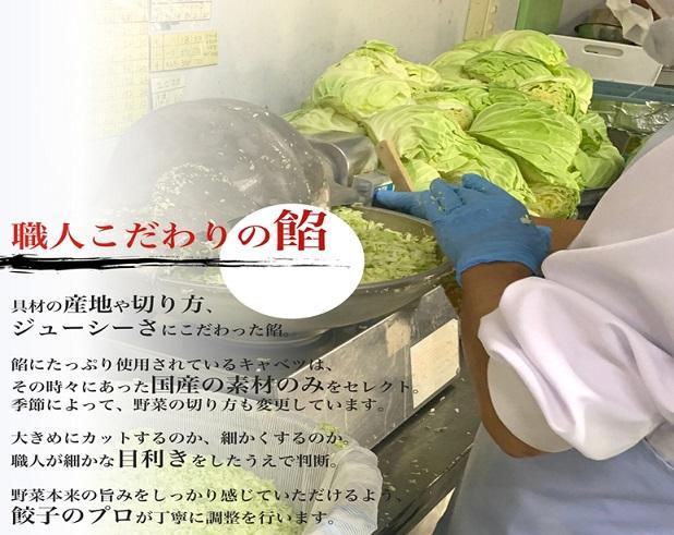 博多ひとくち餃子100個入