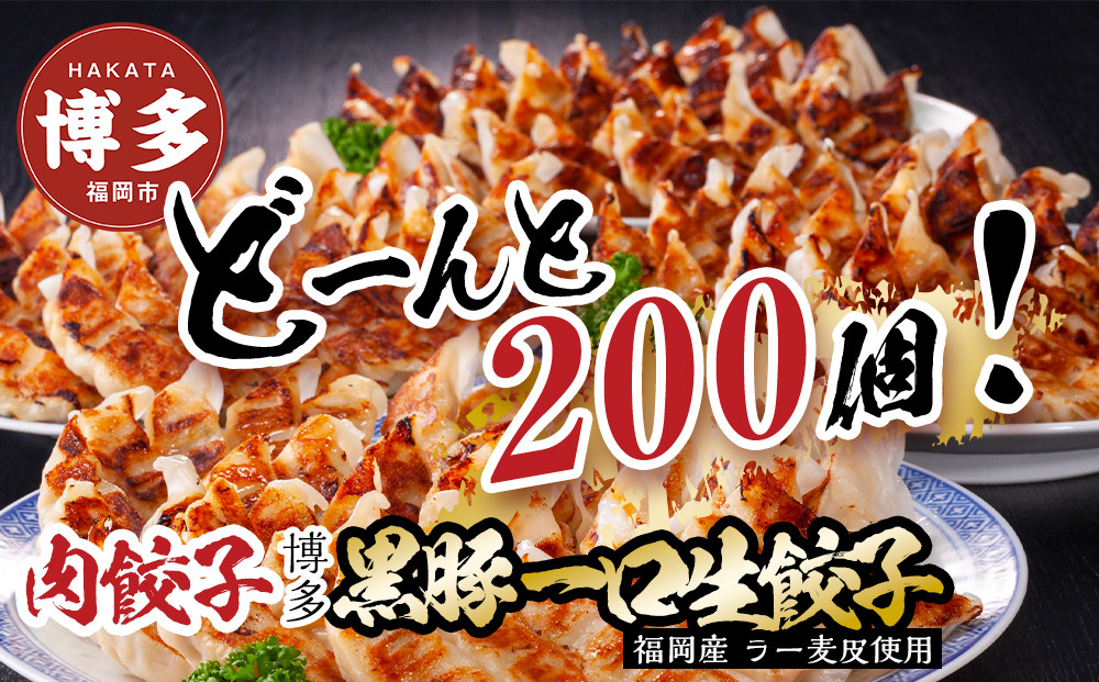 【１月中旬以降発送】【200個!!】【福岡ブランド】博多黒豚一口生餃子 8パック小分　福岡県産ラー麦皮使用　創業40年以上福岡会社製造　