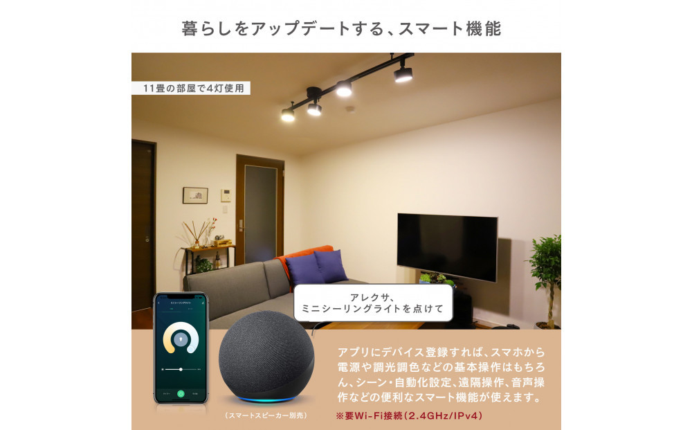エジソンスマートミニシーリングライト 引掛けシーリング用 【ブラック】 福岡市