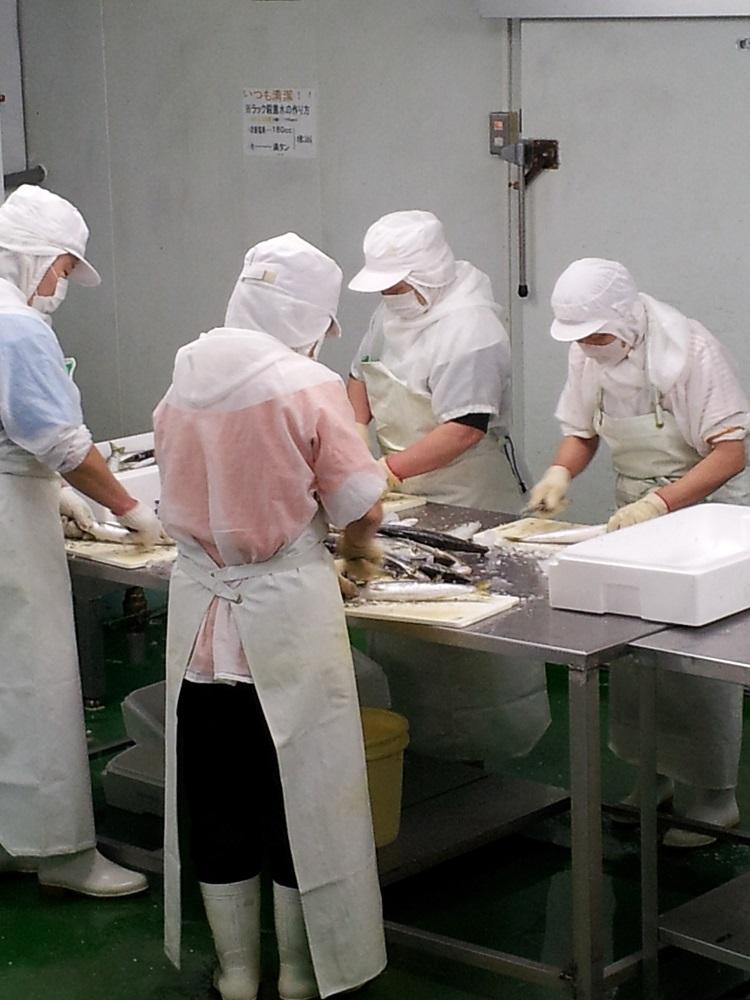 蜊壼、壼ソ苓ウ蟲カ縲蟷イ迚ゥ縺九▽繧縺セ螳夂分蟷イ迚ゥ隧ー蜷医○