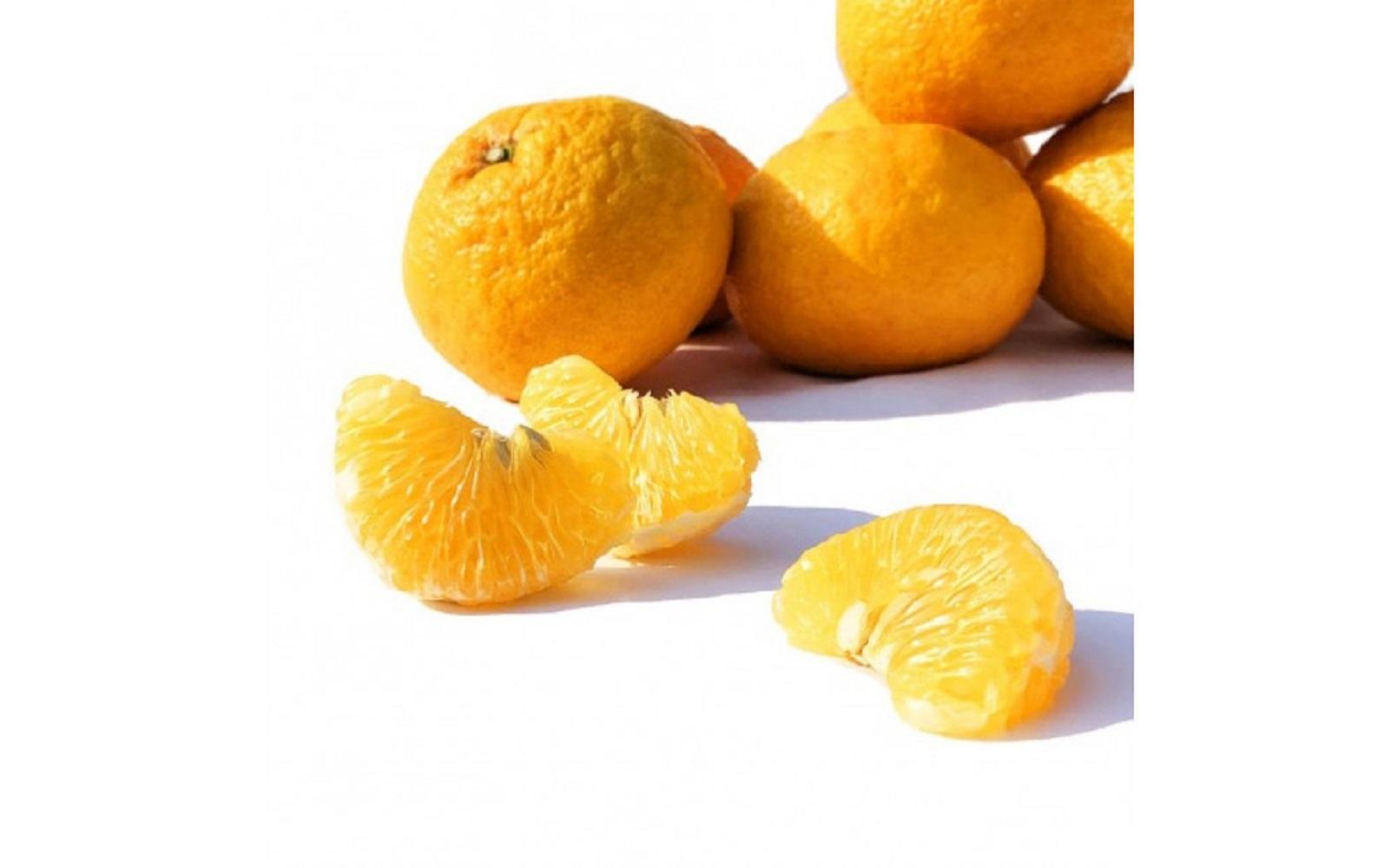 ＜先行受付：2026年4月以降発送＞福岡県　能古島産　甘夏5kg