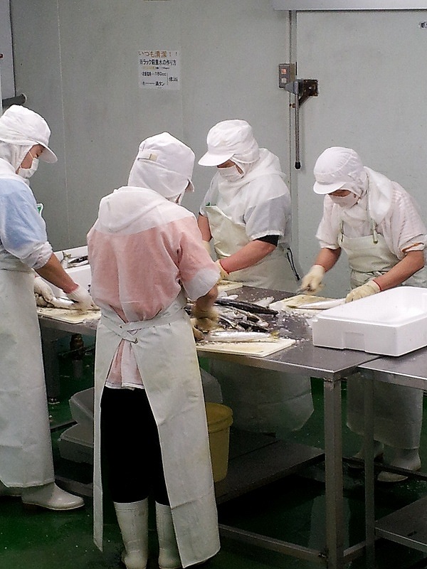 譏斐↑縺後i縺ョ陬ス豕輔〒菴懊▲縺溷ケイ迚ゥ隧ー蜷医○