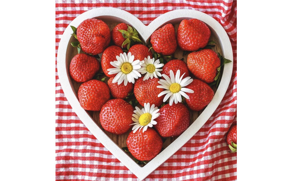 【定期便３回】福岡県産 完熟 博多あまおう 270ｇ×4【2026年2月1日～発送】