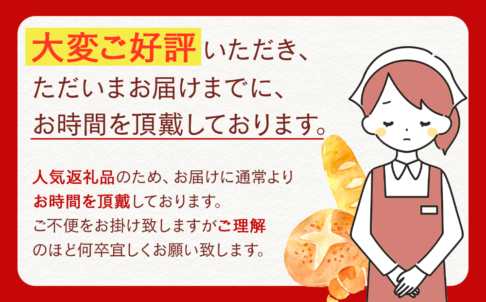 パン 定番 パンストック セット おまかせ11種 ＼福岡市人気ベーカリー／ | パン詰め合わせ 詰め合わせ 人気 ハードパン ハード系パン ご当地グルメ バゲット 食パン パンセット 食べ比べ pain stock 人気 お取り寄せ 朝食 ベーカリー セット ぱん 国産小麦 福岡 福岡市