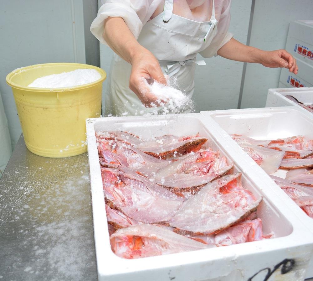 蜊壼、壼ソ苓ウ蟲カ縲蟷イ迚ゥ縺九▽繧縺セ螳夂分蟷イ迚ゥ隧ー蜷医○