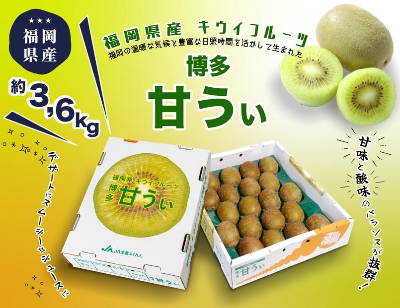 シ2026蟷エ逋コ騾∝繝サ蜈郁。御コ育エシ槫忽螟壹檎曝縺縺縲阪ョ雍豐「譫懷ョ溘邏3.6kg