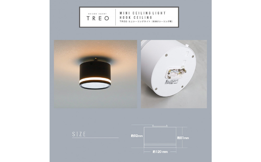 ãšãžãœã³ã¹ããŒã TREO ããã·ãŒãªã³ã°ã©ã€ã åŒæãã·ãŒãªã³ã°çš ããã¯ã€ãã çŠå²¡åž