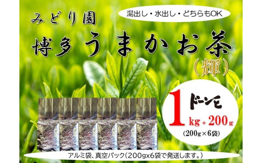博多うまかお茶（輝）