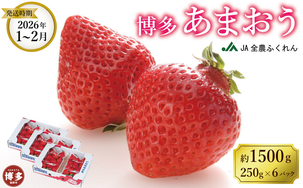 ＜2026年1月～2月発送＞博多あまおう約250ｇ×６