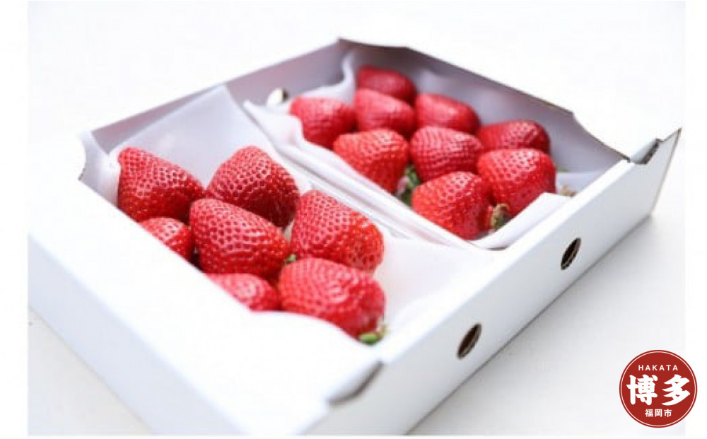 朝どり完熟あまおう2P　福岡市志賀島産