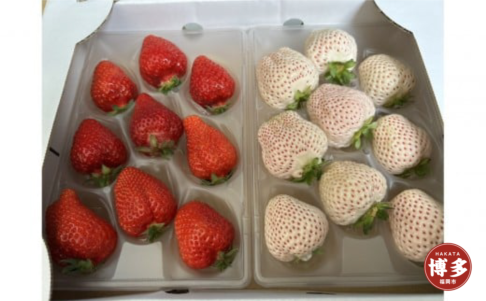 あまおうと天使のいちご紅白セット500ｇ　　福岡市志賀島産