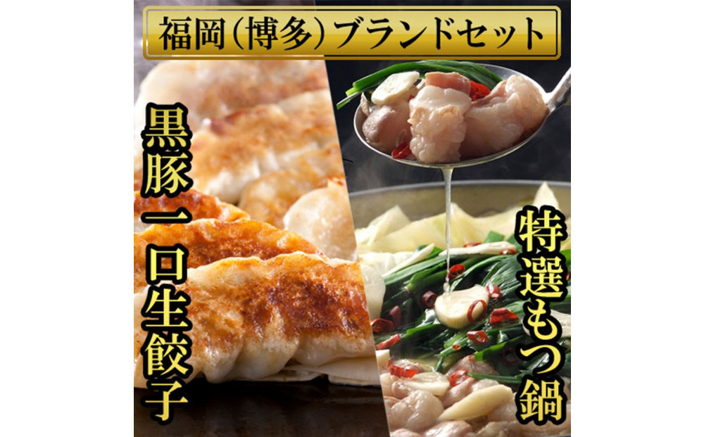 【１月中旬以降発送】博多ブランドセット　博多黒豚一口生餃子75個（25個×3パック）と博多もつ鍋2.5人前セット 少人数様向け