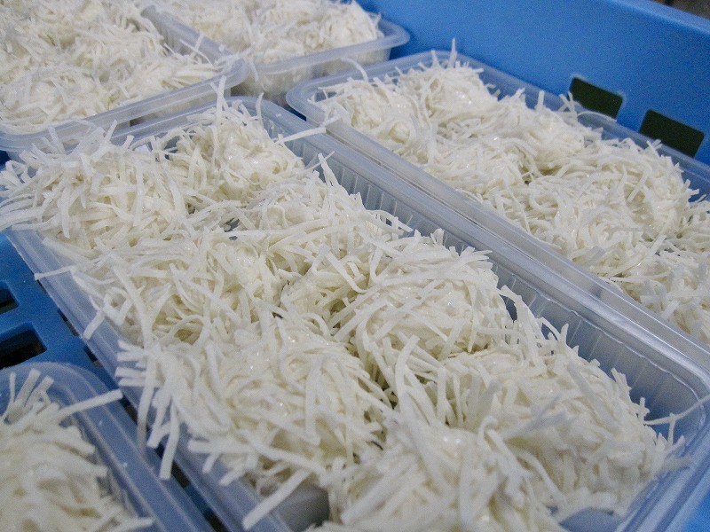 博多玄海しゅうまいセット