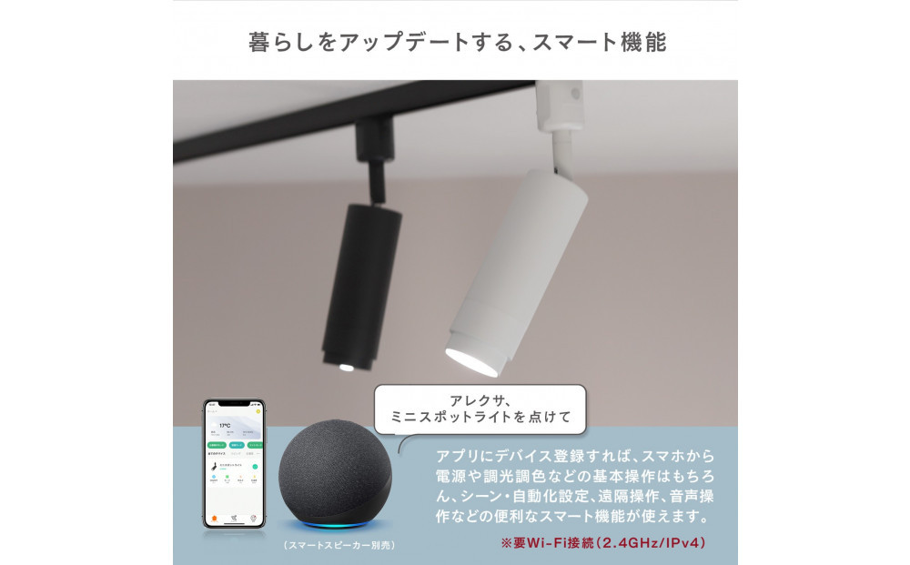 エジソンスマート ミニスポットライト 【ブラック】 福岡市