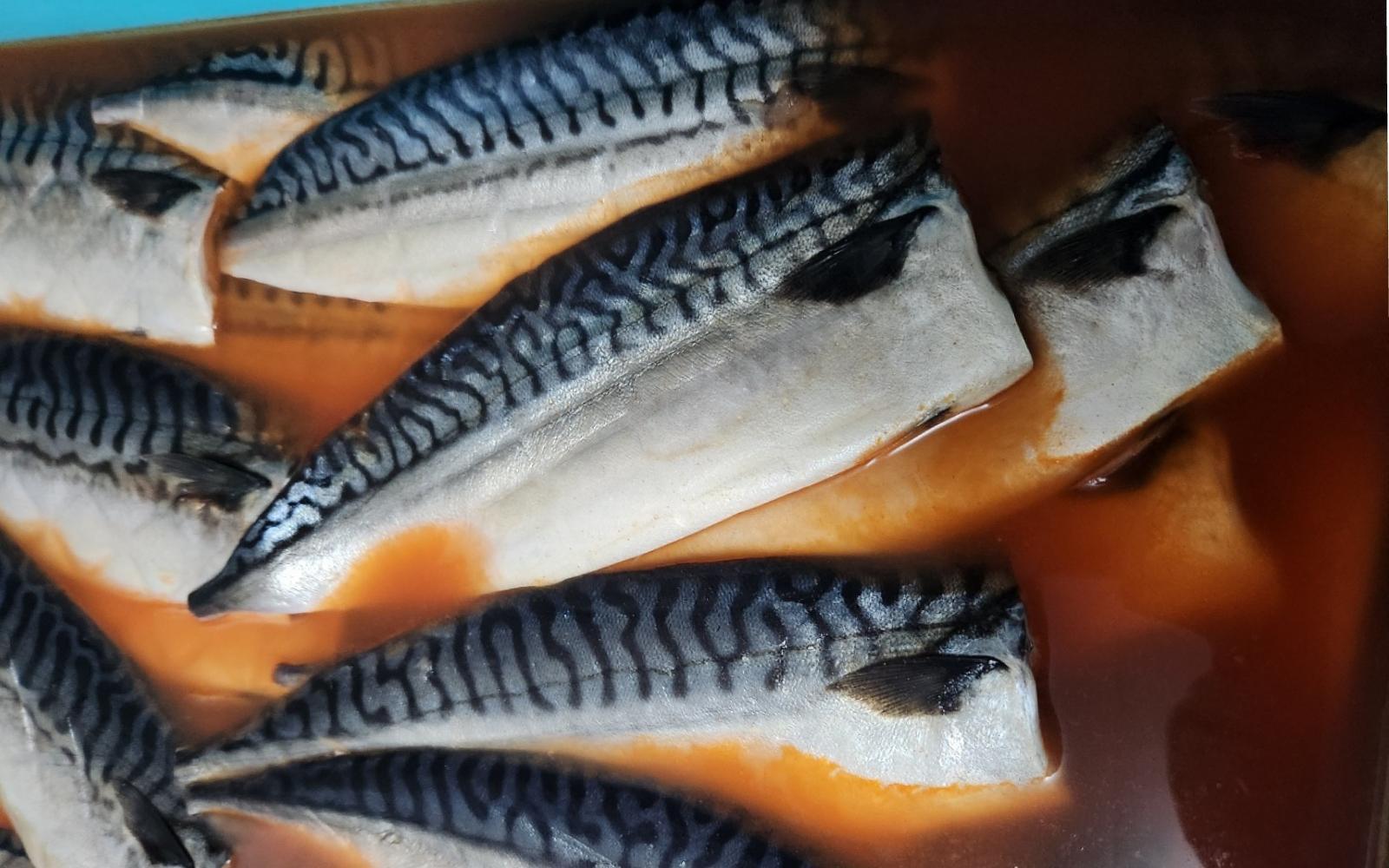 ãçŠå²¡åžãç¹å€§ãã°æå€ªãäžå³¶ååºãçŽ200ïœÃ5æå
¥ã