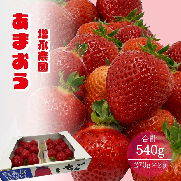 【2026年1月下旬発送開始】増永農園のあまおう270g×2パック