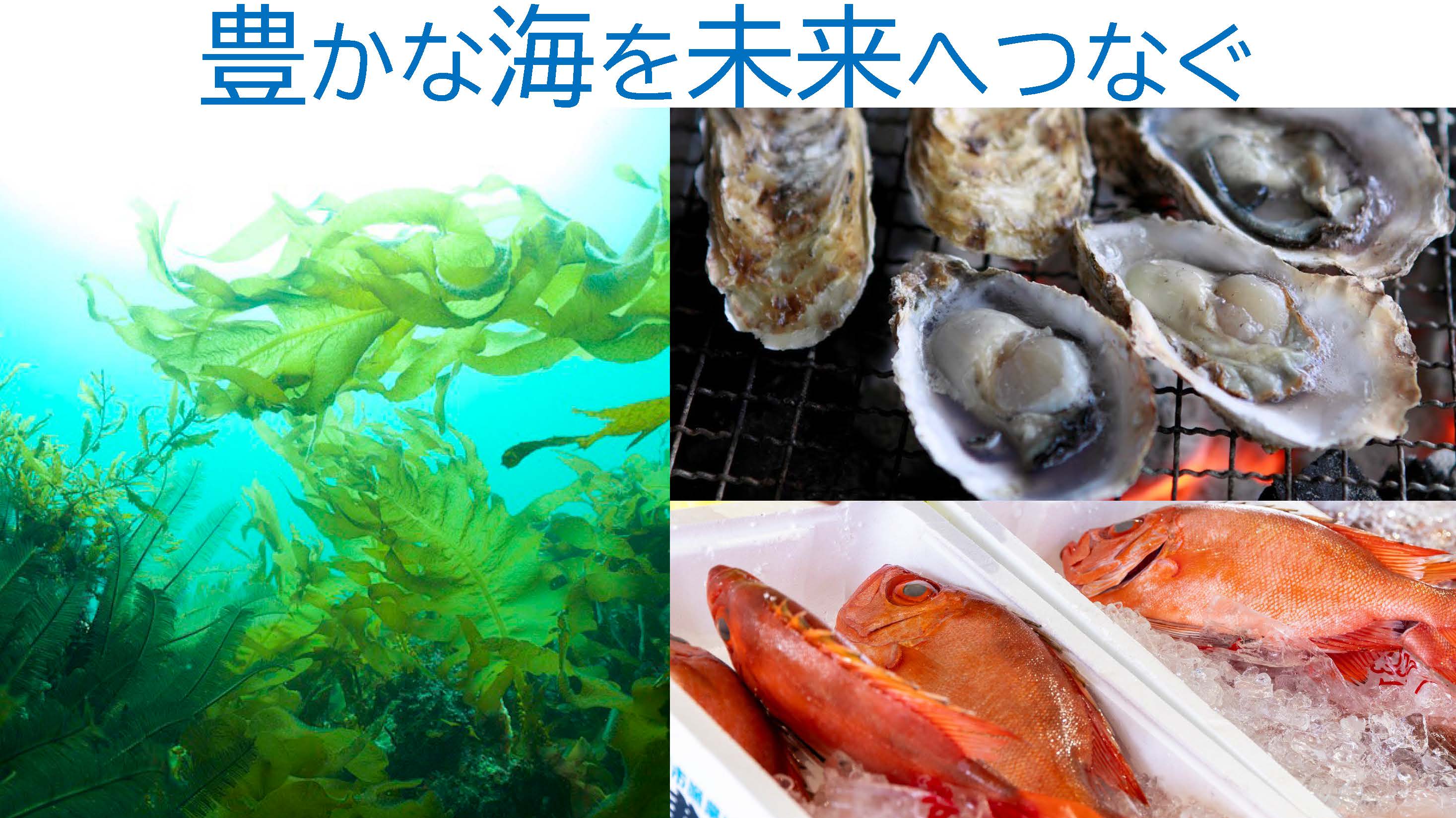 ふくおか豊かな里海づくり