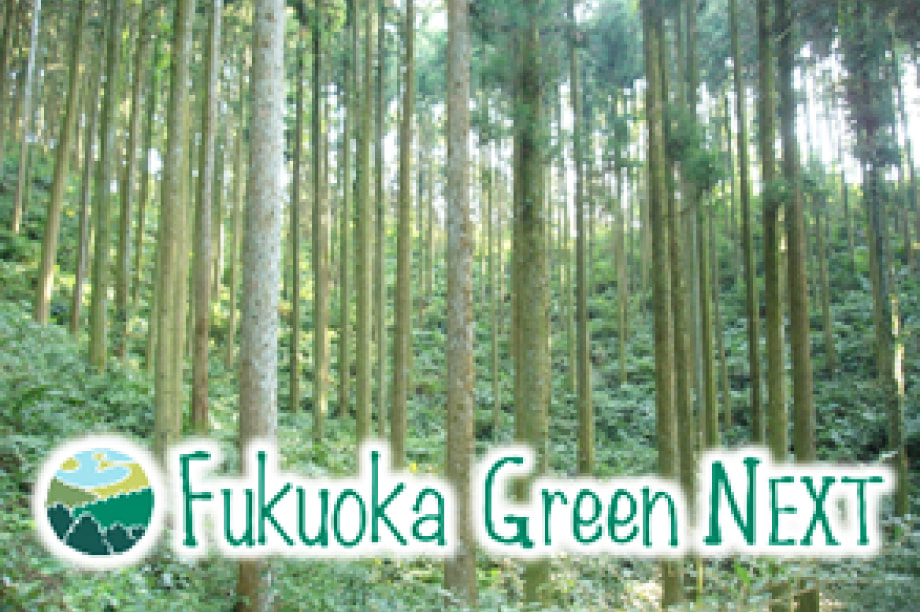 福岡の森づくり