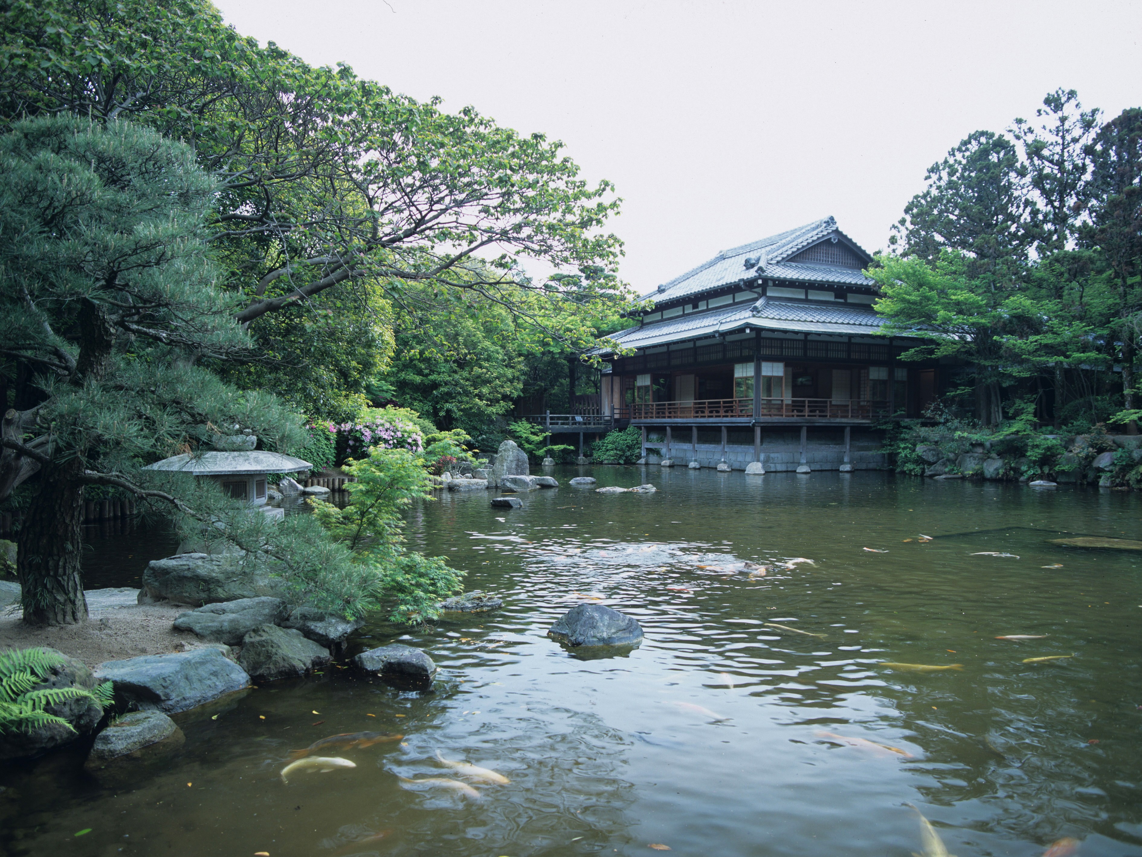文化や伝統を未来へつなぐ日本庭園
