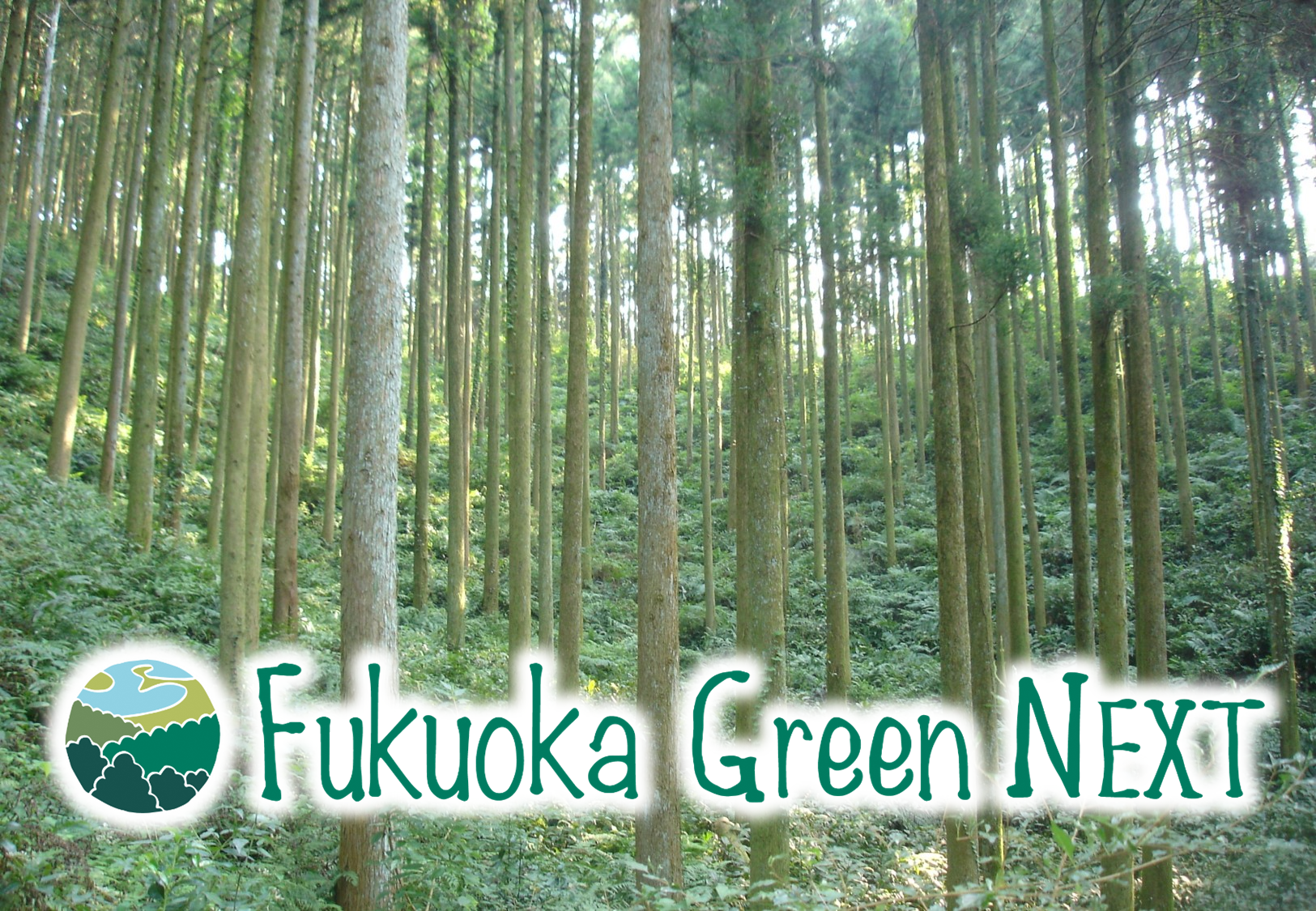 福岡の森づくり