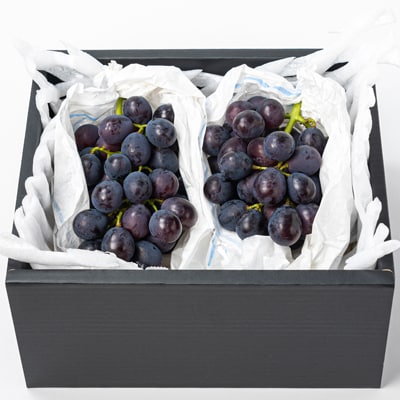 福岡県産　巨峰　1kg(野口農場)【配送不可地域：離島】【1529095】