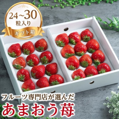 【11月下旬より順次発送】苺本来の酸味と甘み!贈答用あまおう 24-30粒(大牟田市)【配送不可地域：離島・北海道・沖縄県】【1226680】