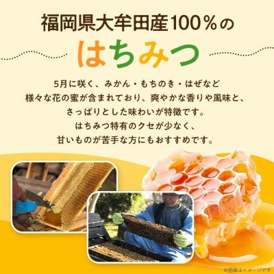 坂井養蜂場　昔ながらの蜂蜜　300g　2本組【1093309】