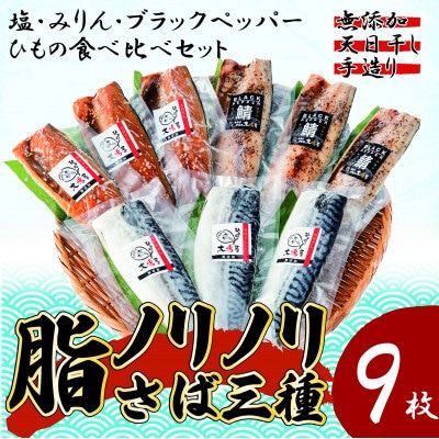 【無添加・天日干し・手造り】脂ノリノリさば三種の食べ比べセット【配送不可地域：離島】【1539720】