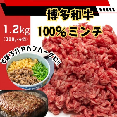 博多和牛100%ミンチ(挽肉)【訳あり】1.2kg(300g×4個)(大牟田市)【配送不可地域：離島】【1608341】