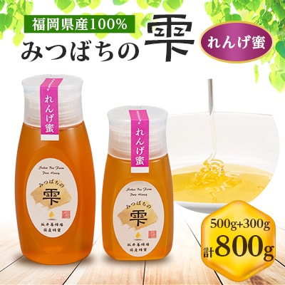 【5月〜6月発送】みつばちの雫　国産れんげ蜜　500g+300g【1496815】