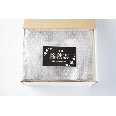 遏ウ轤ュ鮟帝蛾擇蜿悶j繝槭げ繧ォ繝繝怜ー上そ繝繝医1548247縲