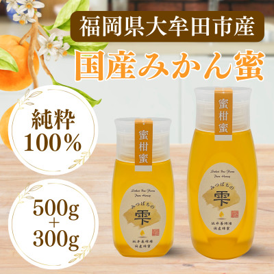 みつばちの雫　国産みかん蜂蜜　500g+300g【1481075】