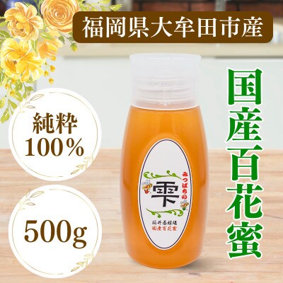 みつばちの雫　国産百花蜜　500g【1343859】