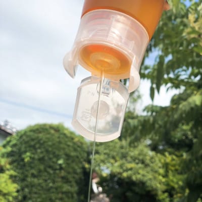 みつばちの雫　300g×2個セット　国産蜂蜜【1452807】