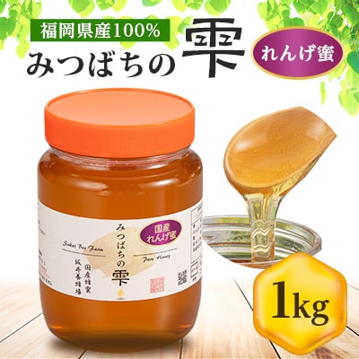 【5月〜6月発送】みつばちの雫　国産れんげ蜜　1000g【1496816】