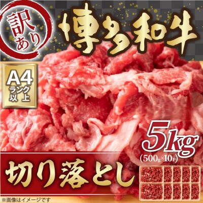 訳あり!【A4〜A5】博多和牛切り落とし　5kg(500g×10p)(大牟田市)【配送不可地域：離島】【1560980】