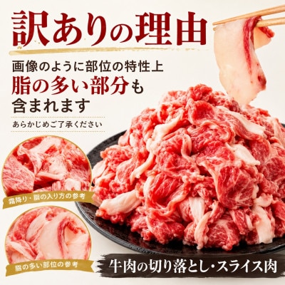 訳あり!【A4〜A5】この味プレミアム!博多和牛切り落とし 750g(250g×3p)(大牟田市)【配送不可地域：離島】【1744131】