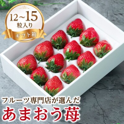 【11月下旬より順次発送】苺本来の酸味と甘み!贈答用あまおう 12-15粒(大牟田市)【配送不可地域：離島・北海道・沖縄県】【1226681】