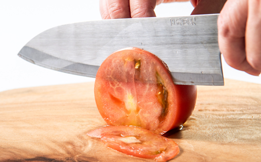 【刀匠四郎國光一門】《刀鍛冶が造る本格包丁》鋼入りステンレス菜切り包丁柳刃(両刃)【配送不可地域：沖縄県】【1533315】